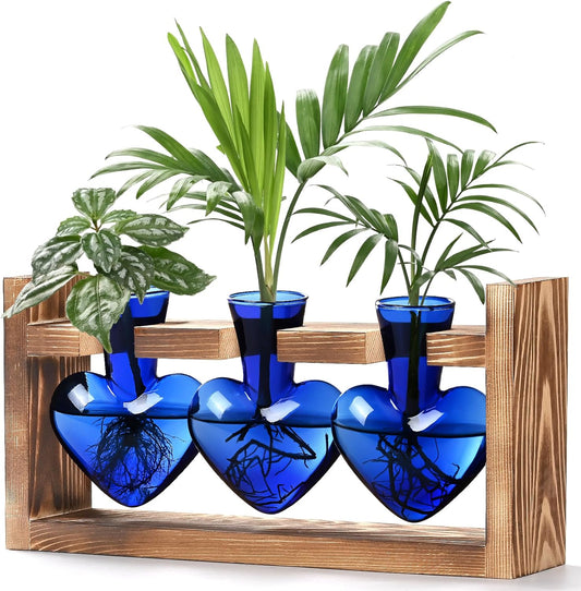 Chikalabs Blue Heart Plant Propagation Stations Glass Terrarium