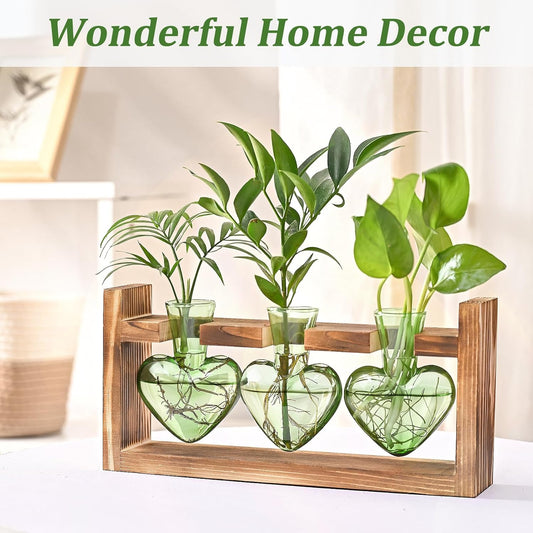 Chikalabs Green Heart Plant Propagation Stations Glass Terrarium
