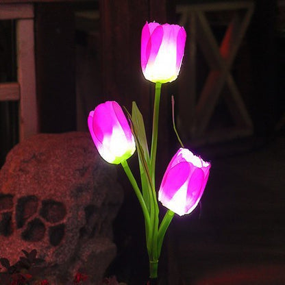 Chikalabs Outdoor Garden Solar Flower Lights