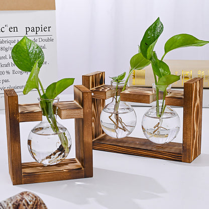 Chikalabs Plant Propagation Stations Glass Terrarium