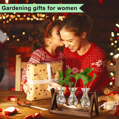 Chikalabs Plant Propagation Swing Stations Glass Terrarium