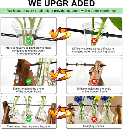 Chikalabs Plant Propagation Swing Stations Glass Terrarium