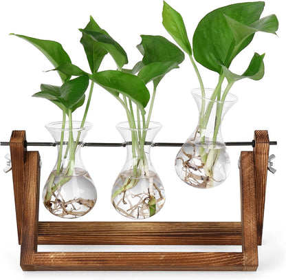 Chikalabs Plant Propagation Swing Stations Glass Terrarium