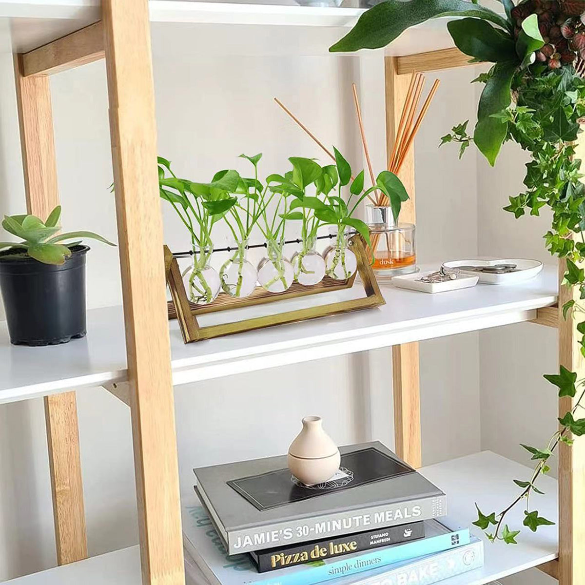 Chikalabs 5 Bulbs Plant Propagation Swing Stations Glass Terrarium