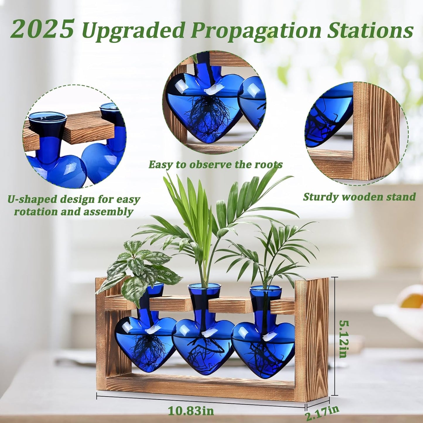 Chikalabs Blue Heart Plant Propagation Stations Glass Terrarium