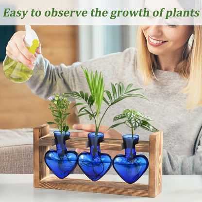 Chikalabs Blue Heart Plant Propagation Stations Glass Terrarium
