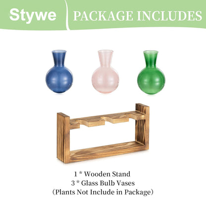 Chikalabs Round Bottle Plant Propagation Stations Glass Terrarium