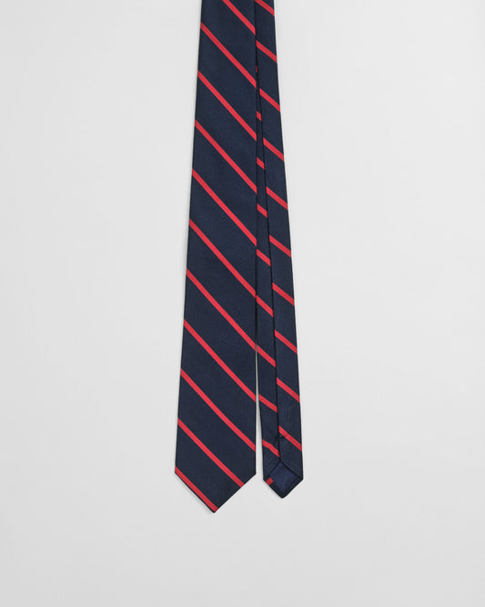 Striped Tie